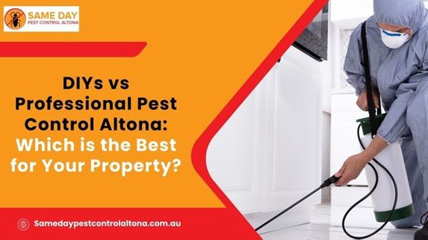 DIY vs Professional Pest Control