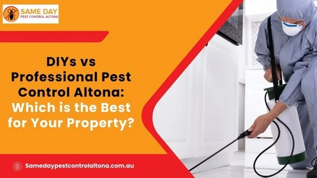 DIY vs Professional Pest Control